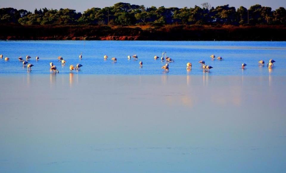 Santa Lucia Tratalias