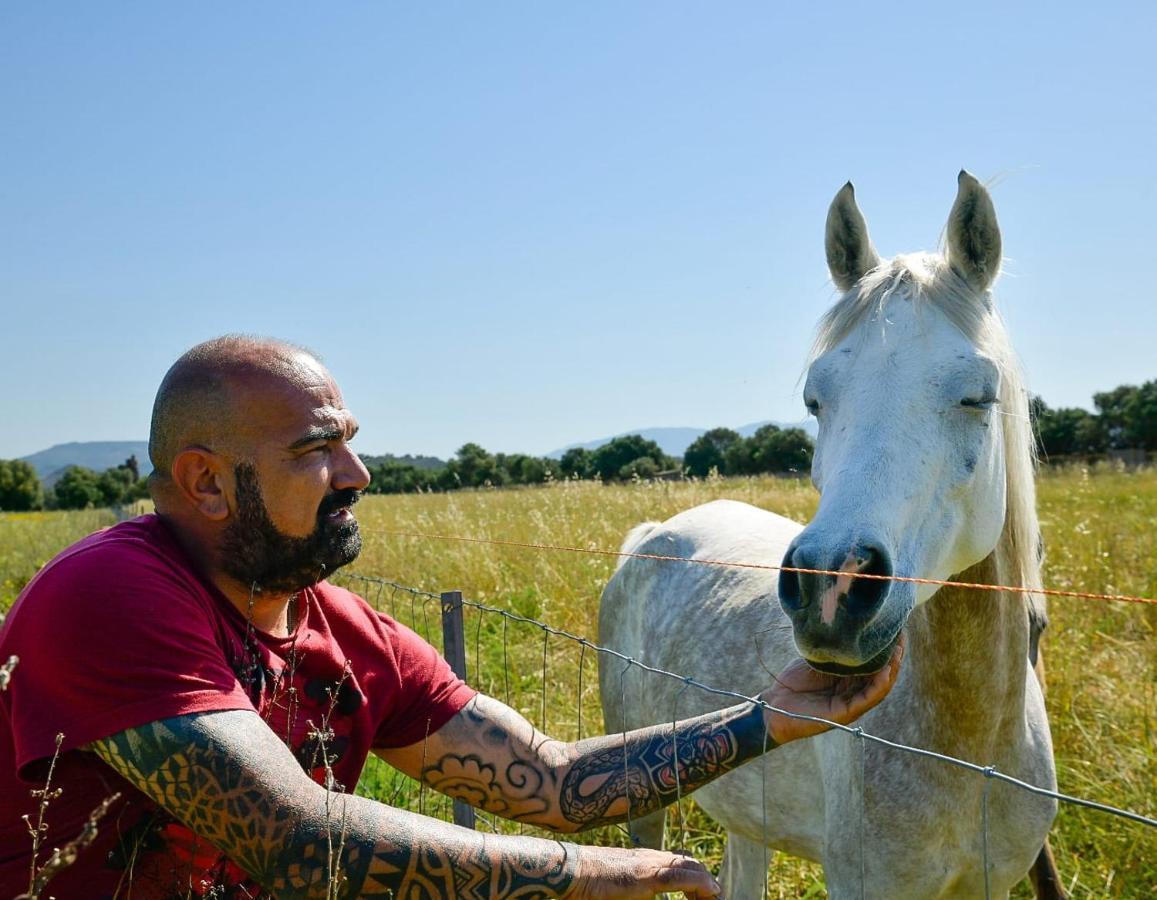 Santa Lucia Séjour à la ferme Tratalias