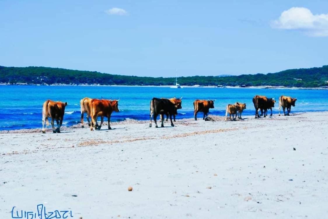 Séjour à la ferme Santa Lucia