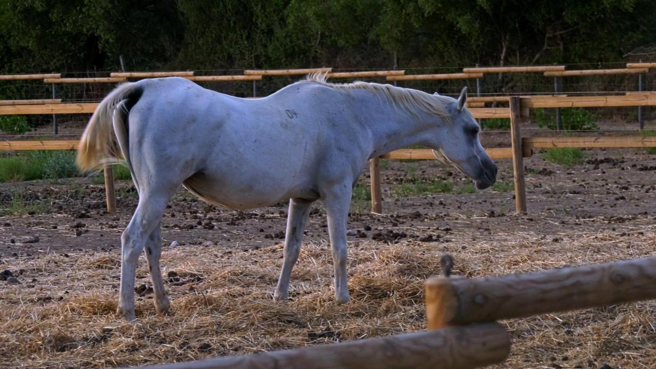 Santa Lucia Séjour à la ferme Tratalias