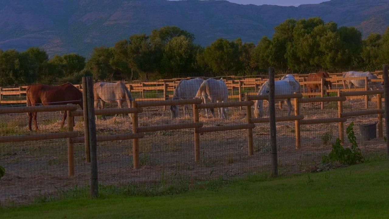Séjour à la ferme Santa Lucia *